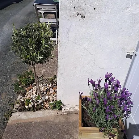 Maison De Pêcheur Au Calme Casa de Férias Brétignolles-sur-Mer