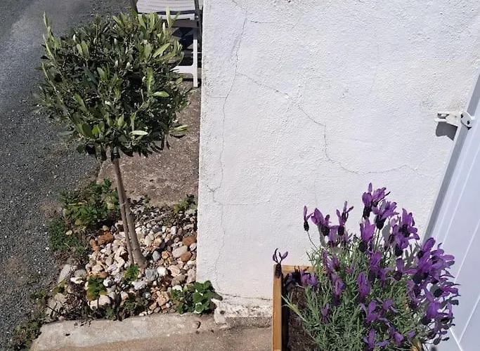 Maison De Pecheur Au Calme 펜션 Brétignolles-sur-Mer